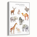 Herbivores Kids Educational Wall Art - Learning Poster for Classrooms
