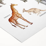 Herbivores Kids Educational Wall Art - Learning Poster for Classrooms