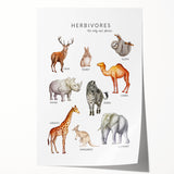 Herbivores Kids Educational Wall Art - Learning Poster for Classrooms