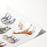 Herbivores Kids Educational Wall Art - Learning Poster for Classrooms