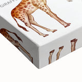 Herbivores Kids Educational Wall Art - Learning Poster for Classrooms