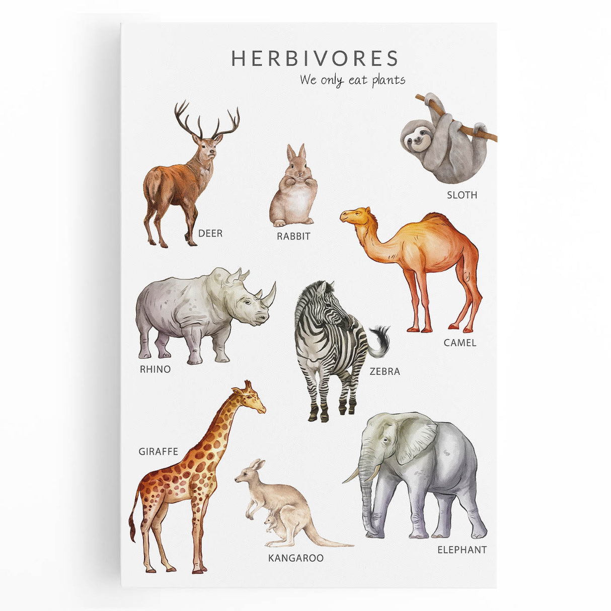 Herbivores Kids Educational Wall Art - Learning Poster for Classrooms
