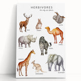 Herbivores Kids Educational Wall Art - Learning Poster for Classrooms