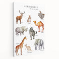 Herbivores Kids Educational Wall Art - Learning Poster for Classrooms