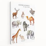 Herbivores Kids Educational Wall Art - Learning Poster for Classrooms