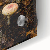 Large abstract wall art in autumnal hues on acrylic glass, ideal for dining room art in a mid-century modernist style.