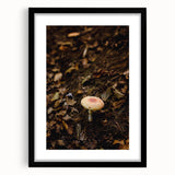 Extra large abstract art print featuring vibrant autumnal hues on textured canvas, framed in black.