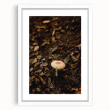 Abstract art print depicting autumnal colors on a white framed canvas, suitable for bedroom or dining room decor.