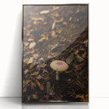 Mid-century modernist art depicting autumn trees in orange and red tones on a framed acrylic print.