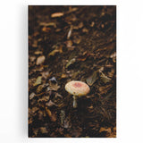 Black and white abstract tree design on large stretched canvas, suitable for kitchen wall art.