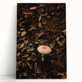 Black and white abstract tree design on large stretched canvas, ideal for kitchen wall art or bedroom ambiance.