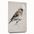 Acrylic glass artwork depicting a vibrant animal design featuring various wildlife in rich colors, secured with decorative pins, ideal for modern decor.