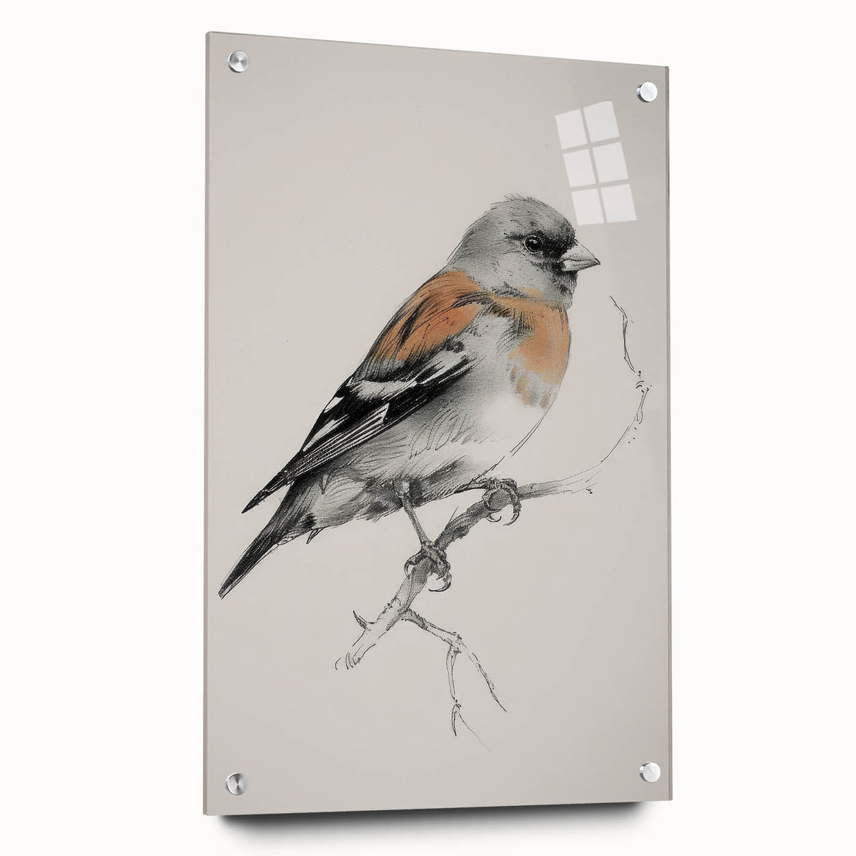 Acrylic glass artwork depicting a vibrant animal design featuring various wildlife in rich colors, secured with decorative pins, ideal for modern decor.