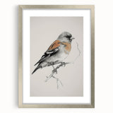 Silver-framed animal art print with a mat, showcasing vibrant wildlife illustrations. Perfect for home decor, adding a touch of nature to any room.