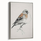 Framed canvas artwork depicting a vibrant animal design with a silver frame, showcasing intricate details and rich colors, perfect for enhancing home decor.