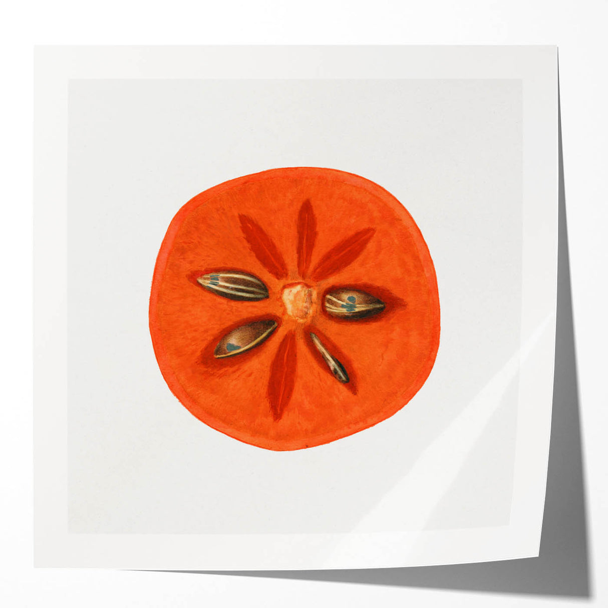Rolled print of assorted fruits in vibrant colors, ideal for art wall dining room or classy bathroom decor.
