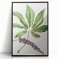 Antique Botanical Plant Print - Sarah Featon Realism Nature Art Decor