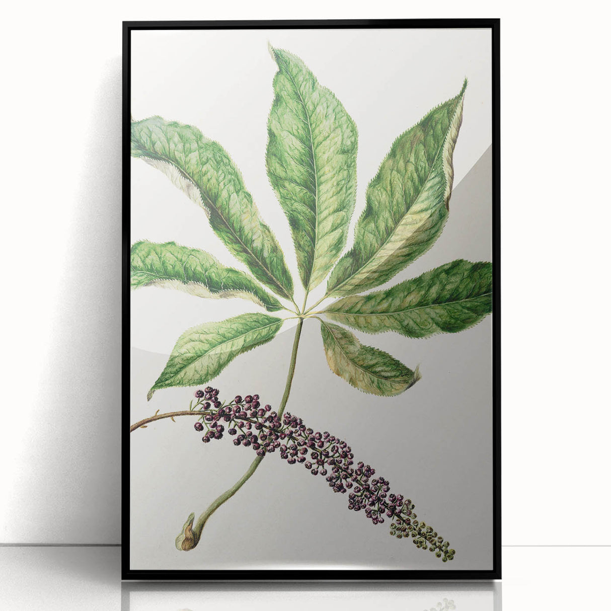 Antique Botanical Plant Print - Sarah Featon Realism Nature Art Decor