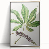 Antique Botanical Plant Print - Sarah Featon Realism Nature Art Decor