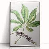 Antique Botanical Plant Print - Sarah Featon Realism Nature Art Decor