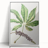 Antique Botanical Plant Print - Sarah Featon Realism Nature Art Decor