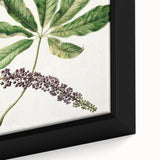 Antique Botanical Plant Print - Sarah Featon Realism Nature Art Decor