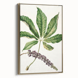 Antique Botanical Plant Print - Sarah Featon Realism Nature Art Decor