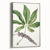 Antique Botanical Plant Print - Sarah Featon Realism Nature Art Decor