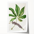 Antique Botanical Plant Print - Sarah Featon Realism Nature Art Decor