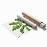 Antique Botanical Plant Print - Sarah Featon Realism Nature Art Decor