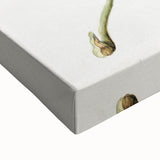 Antique Botanical Plant Print - Sarah Featon Realism Nature Art Decor