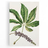 Antique Botanical Plant Print - Sarah Featon Realism Nature Art Decor