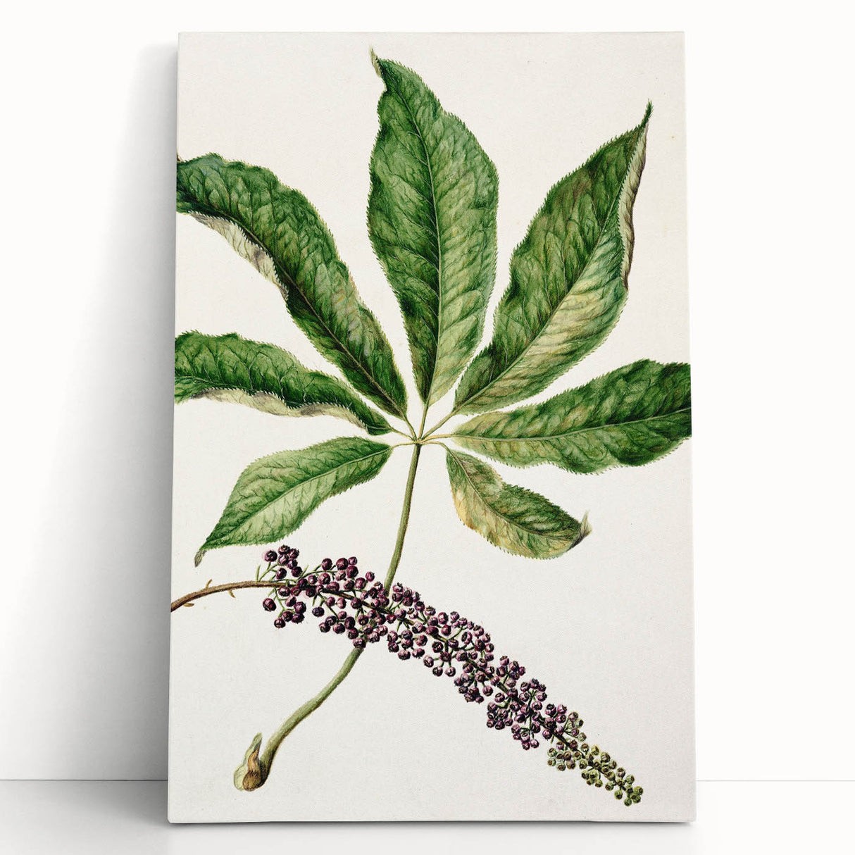 Antique Botanical Plant Print - Sarah Featon Realism Nature Art Decor