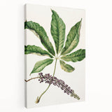 Antique Botanical Plant Print - Sarah Featon Realism Nature Art Decor