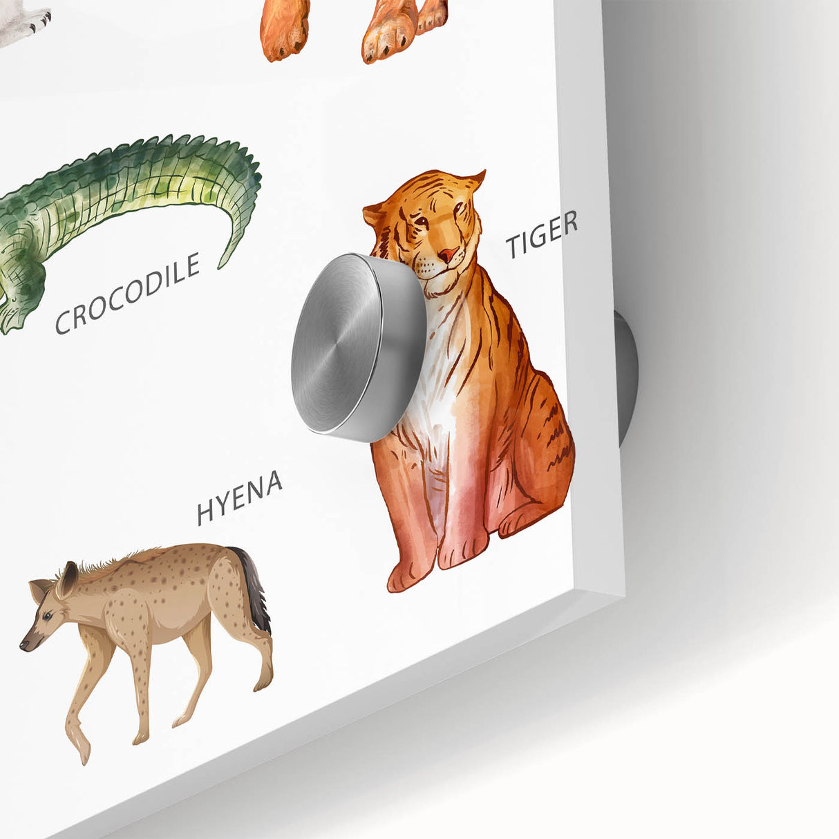 Carnivores Kids Educational Wall Art - Learning Poster for Classrooms