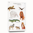 Carnivores Kids Educational Wall Art - Learning Poster for Classrooms