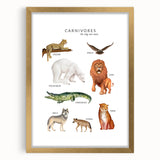 Carnivores Kids Educational Wall Art - Learning Poster for Classrooms