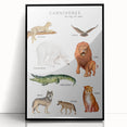 Carnivores Kids Educational Wall Art - Learning Poster for Classrooms