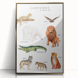 Carnivores Kids Educational Wall Art - Learning Poster for Classrooms