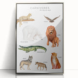Carnivores Kids Educational Wall Art - Learning Poster for Classrooms