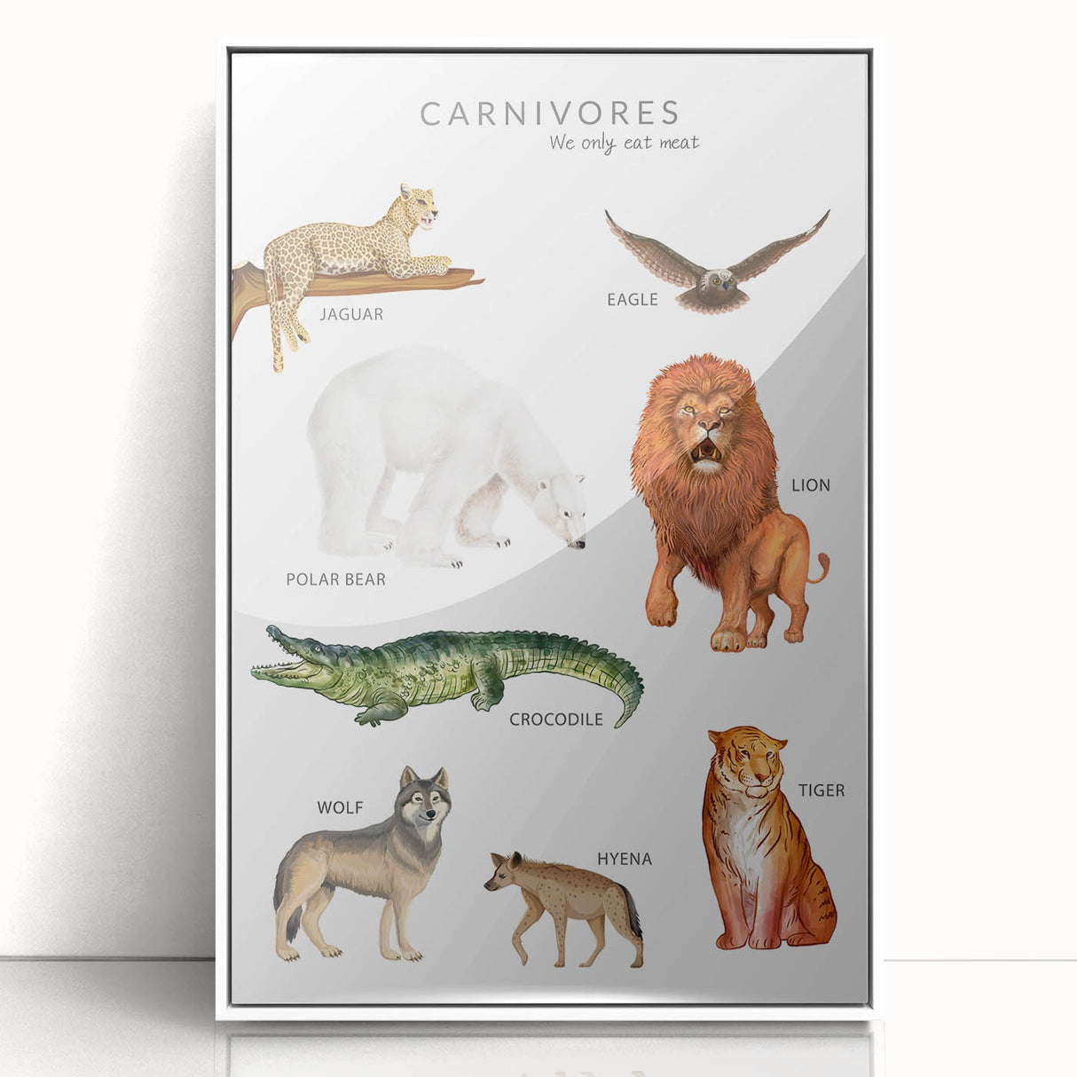 Carnivores Kids Educational Wall Art - Learning Poster for Classrooms