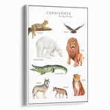 Carnivores Kids Educational Wall Art - Learning Poster for Classrooms