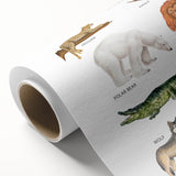 Carnivores Kids Educational Wall Art - Learning Poster for Classrooms