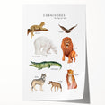 Carnivores Kids Educational Wall Art - Learning Poster for Classrooms