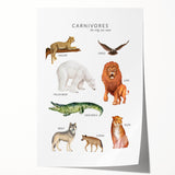 Carnivores Kids Educational Wall Art - Learning Poster for Classrooms