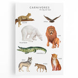 Carnivores Kids Educational Wall Art - Learning Poster for Classrooms
