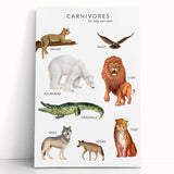Carnivores Kids Educational Wall Art - Learning Poster for Classrooms