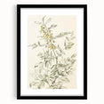 Botanical Floral Sketch Living Room Wall Art – Canvas Print