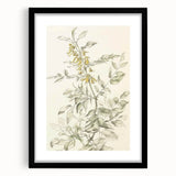 Botanical Floral Sketch Living Room Wall Art – Canvas Print