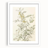 Botanical Floral Sketch Living Room Wall Art – Canvas Print